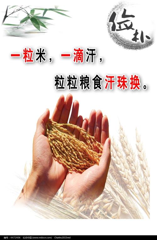 康卡斯特账单哪里能买到